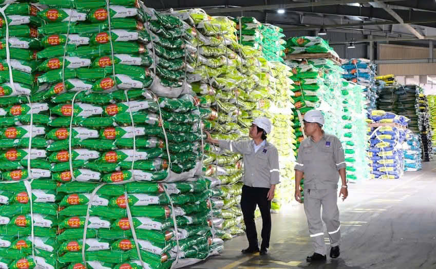 PVFCCo - Phú Mỹ: Xác định năng lực cốt lõi để phát triển bền vững